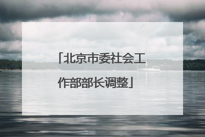 北京市委社会工作部部长调整