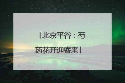 北京平谷：芍药花开迎客来
