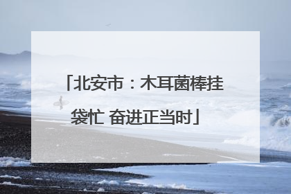 北安市：木耳菌棒挂袋忙 奋进正当时