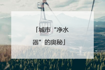城市“净水器”的奥秘