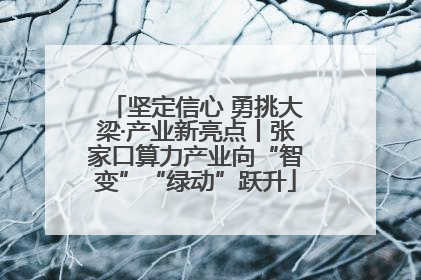 坚定信心 勇挑大梁·产业新亮点丨张家口算力产业向“智变”“绿动”跃升