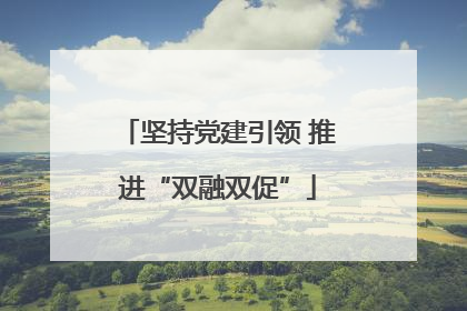 坚持党建引领 推进“双融双促”