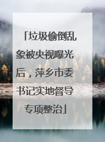 垃圾偷倒乱象被央视曝光后，萍乡市委书记实地督导专项整治