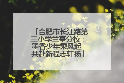 合肥市长江路第三小学兰亭分校：墨香少年乘风起 共赴新程志轩扬