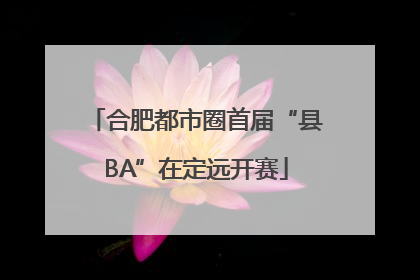合肥都市圈首届“县BA”在定远开赛