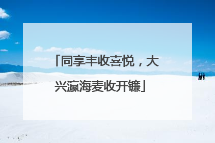 同享丰收喜悦，大兴瀛海麦收开镰