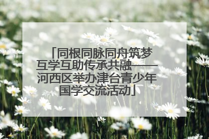 同根同脉同舟筑梦 互学互助传承共融——河西区举办津台青少年国学交流活动
