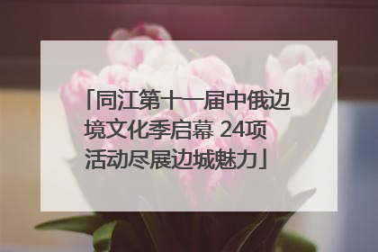 同江第十一届中俄边境文化季启幕 24项活动尽展边城魅力