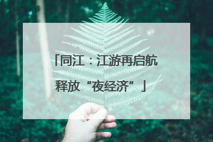 同江：江游再启航 释放“夜经济”