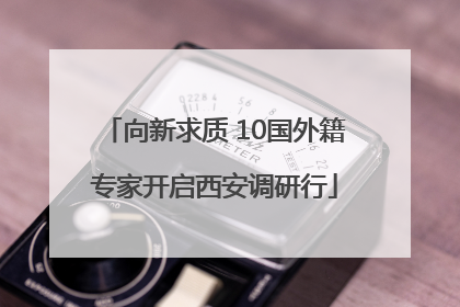 向新求质 10国外籍专家开启西安调研行