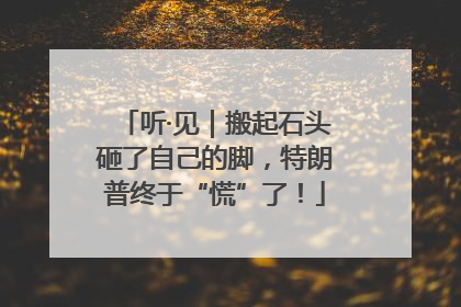 听·见｜搬起石头砸了自己的脚，特朗普终于“慌”了！