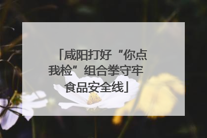 咸阳打好“你点我检”组合拳守牢食品安全线