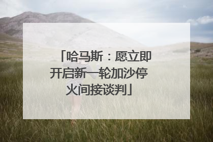 哈马斯：愿立即开启新一轮加沙停火间接谈判