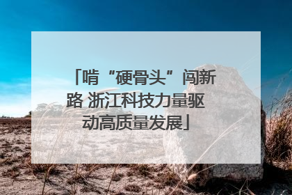 啃“硬骨头”闯新路 浙江科技力量驱动高质量发展