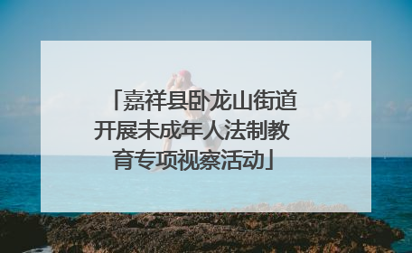 嘉祥县卧龙山街道开展未成年人法制教育专项视察活动