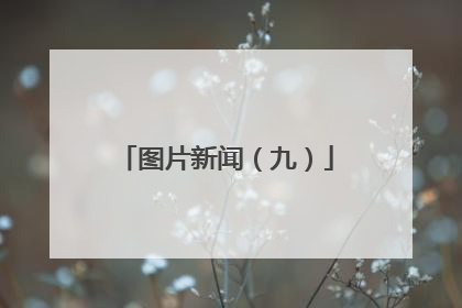 图片新闻（九）
