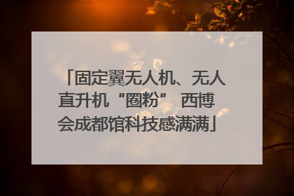 固定翼无人机、无人直升机“圈粉” 西博会成都馆科技感满满
