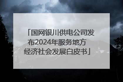 国网银川供电公司发布2024年服务地方经济社会发展白皮书