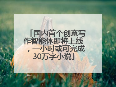 国内首个创意写作智能体即将上线，一小时或可完成30万字小说