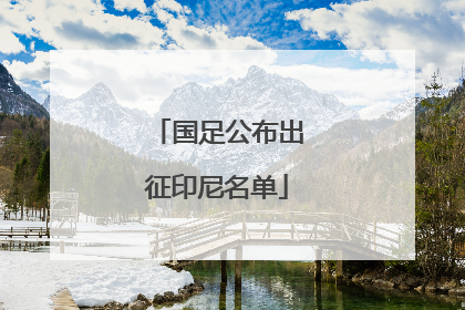 国足公布出征印尼名单