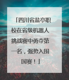 四川省盐亭职校在省级机器人挑战赛中勇夺第一名，强势入围国赛！