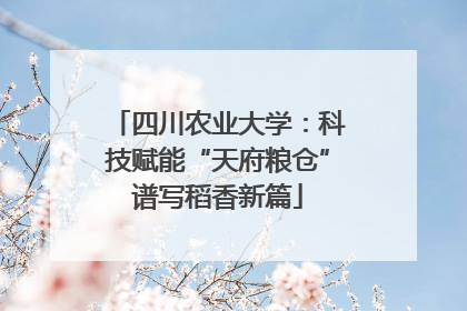 四川农业大学：科技赋能“天府粮仓”谱写稻香新篇