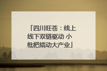 四川旺苍：线上线下双链驱动 小枇杷撬动大产业