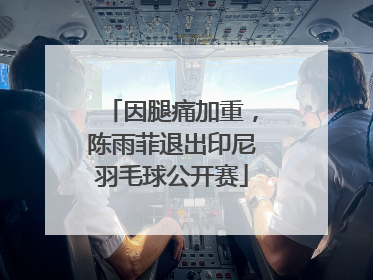因腿痛加重，陈雨菲退出印尼羽毛球公开赛