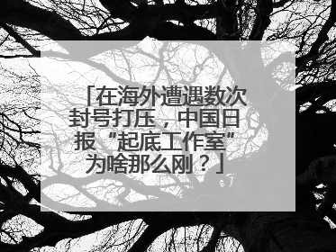 在海外遭遇数次封号打压，中国日报“起底工作室”为啥那么刚？
