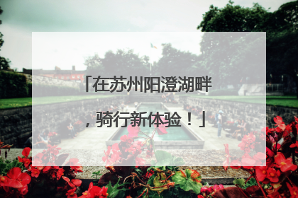 在苏州阳澄湖畔，骑行新体验！