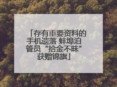 存有重要资料的手机遗落 蚌埠泊管员“拾金不昧”获赠锦旗