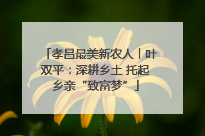 孝昌最美新农人丨叶双平：深耕乡土 托起乡亲“致富梦”