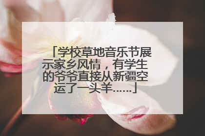 学校草地音乐节展示家乡风情，有学生的爷爷直接从新疆空运了一头羊……