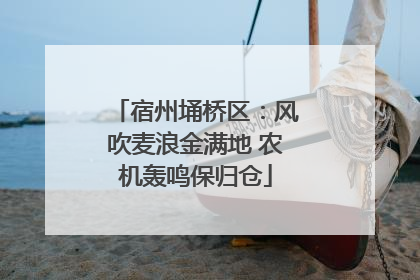 宿州埇桥区：风吹麦浪金满地 农机轰鸣保归仓