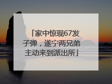 家中惊现67发子弹，遂宁两兄弟主动来到派出所