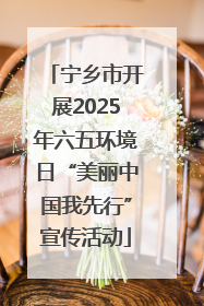 宁乡市开展2025年六五环境日“美丽中国我先行”宣传活动
