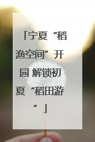宁夏“稻渔空间”开园 解锁初夏“稻田游”