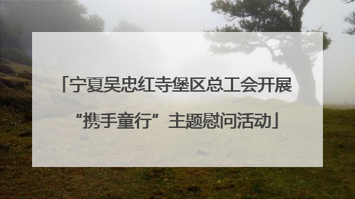 宁夏吴忠红寺堡区总工会开展“携手童行”主题慰问活动