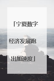 宁夏数字经济发展跑出加速度