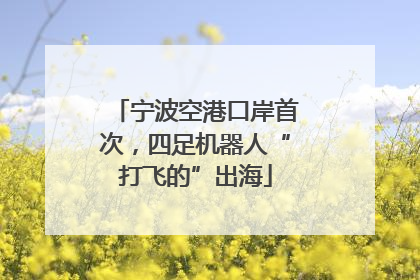 宁波空港口岸首次，四足机器人“打飞的”出海