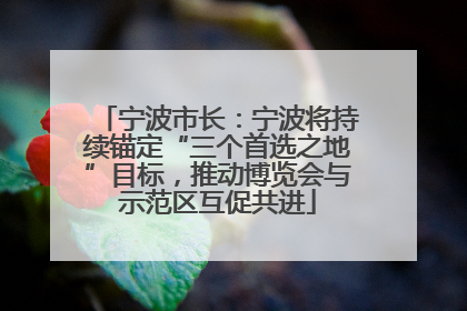 宁波市长：宁波将持续锚定“三个首选之地”目标，推动博览会与示范区互促共进