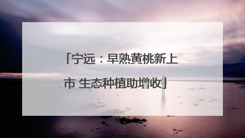宁远：早熟黄桃新上市 生态种植助增收