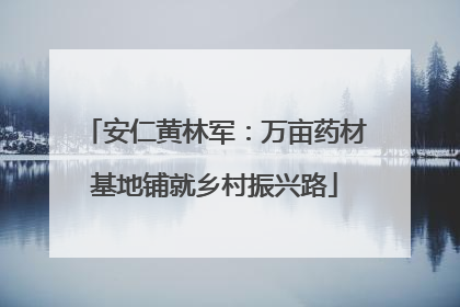 安仁黄林军：万亩药材基地铺就乡村振兴路