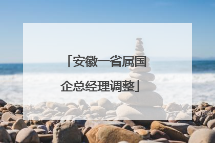 安徽一省属国企总经理调整