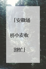 安徽埇桥小麦收割忙