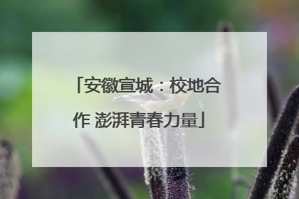 安徽宣城：校地合作 澎湃青春力量