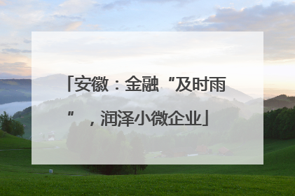 安徽：金融“及时雨”，润泽小微企业