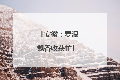 安徽：麦浪飘香收获忙
