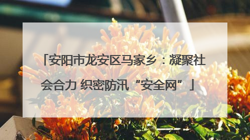安阳市龙安区马家乡：凝聚社会合力 织密防汛“安全网”