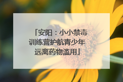 安阳：小小禁毒训练营护航青少年远离药物滥用